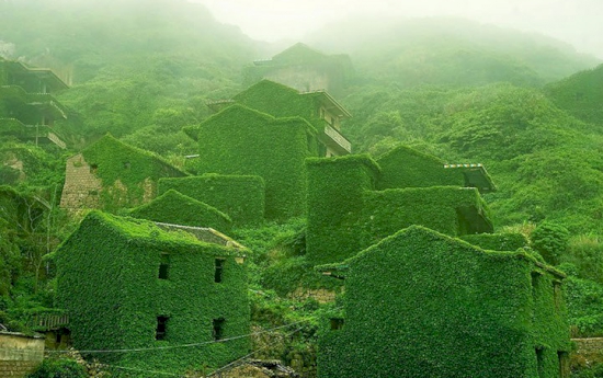 หมู่บ้านชาวประมงในเมืองจีน ที่ถูกกินกลืนให้กลับคืนสู่ธรรมชาติอันเขียวขจี