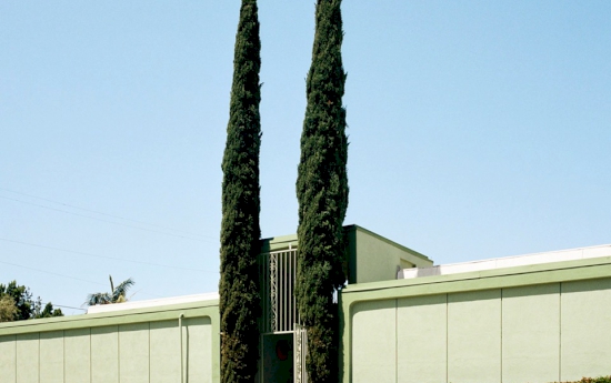 ต้นไม้และพุ่มไม้แตกหน่ออันแปลกประหลาดเคียงคู่กับอาคารในภาพถ่ายของ Sinziana Velicescu